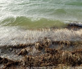 DSC_3359_DxO